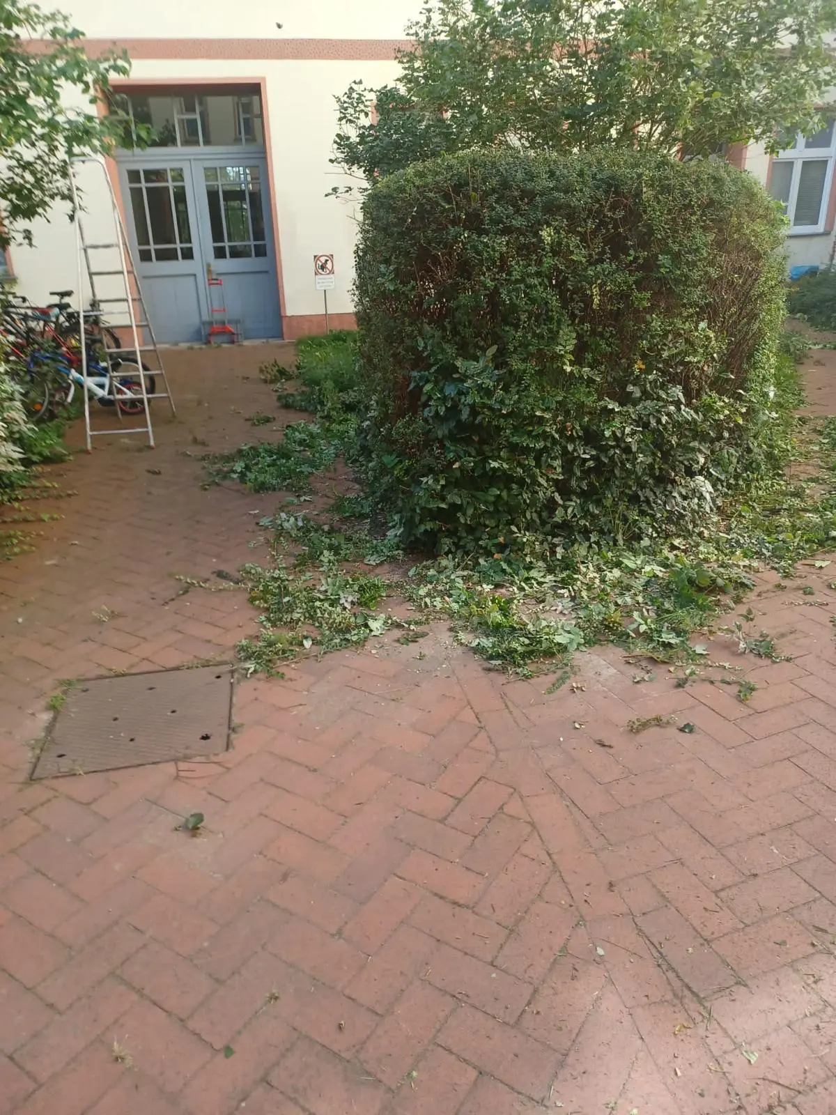 SCHWAMM-SERVICE GmbH, Großmauerporzellan